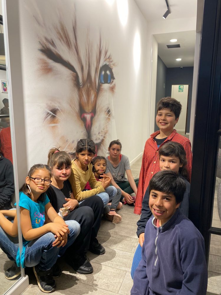 Cafelino: entre gatos y café, una propuesta que invita a la solidaridad