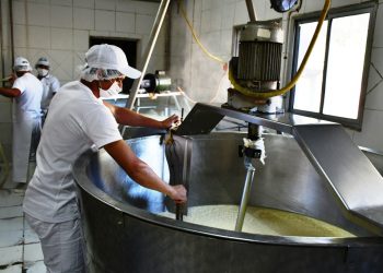 Aprueban creación de fondo de apoyo a la industria láctea, pero se sostiene que el problema es la falta de leche