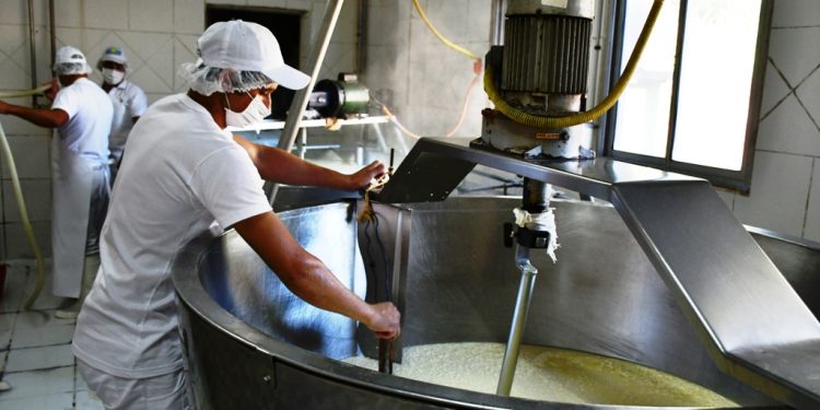 Aprueban creación de fondo de apoyo a la industria láctea, pero se sostiene que el problema es la falta de leche