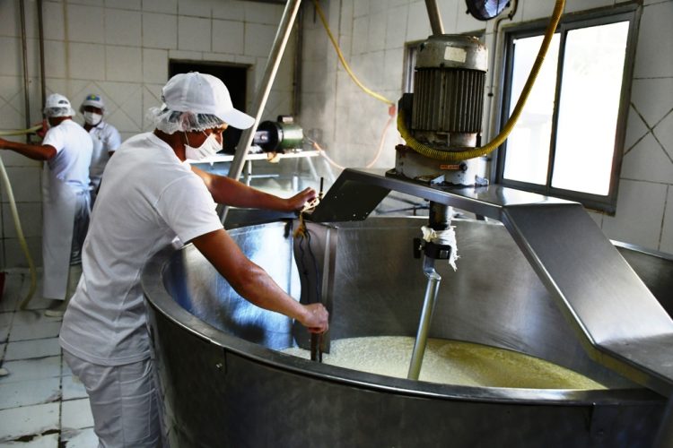 Aprueban creación de fondo de apoyo a la industria láctea, pero se sostiene que el problema es la falta de leche