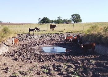 ¿Sequia o falta de políticas agrícolas?