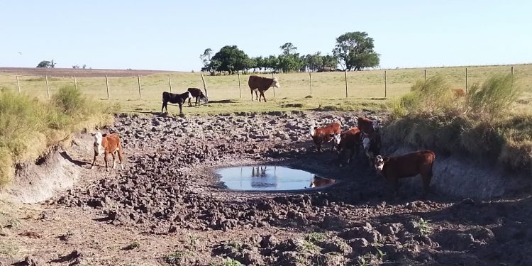 ¿Sequia o falta de políticas agrícolas?