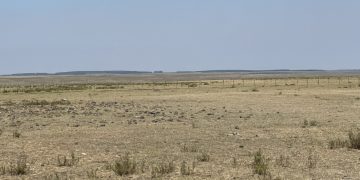 Medidas de apoyo a los productores frente al déficit hídrico