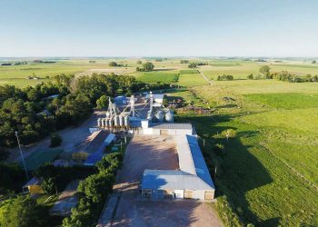 Vivir en Comunidad: la fe y el perdón como base para la convivencia