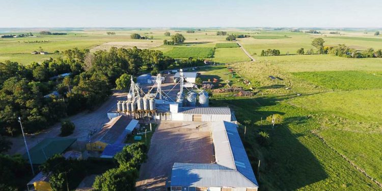 Vivir en Comunidad: la fe y el perdón como base para la convivencia