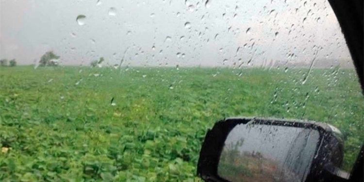 “En febrero podríamos tener lluvias dentro de lo normal o por encima de lo normal”