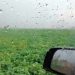 “En febrero podríamos tener lluvias dentro de lo normal o por encima de lo normal”