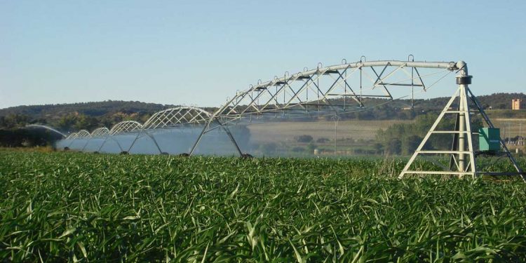 Martín Mattos: “vamos llegando a una madurez que nos podría permitir consolidad el riego en el país”