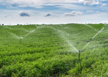 Directorio de UTE aprobó medidas de apoyo al sector agropecuario