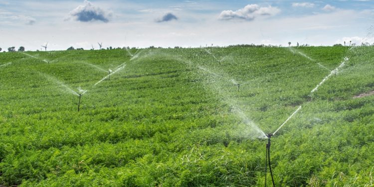 Directorio de UTE aprobó medidas de apoyo al sector agropecuario