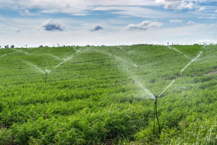 Directorio de UTE aprobó medidas de apoyo al sector agropecuario