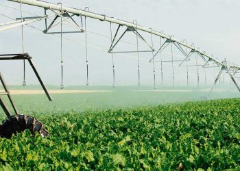 Productores agrícolas de Dolores proyectan un embalse para regar 15 mil hectáreas