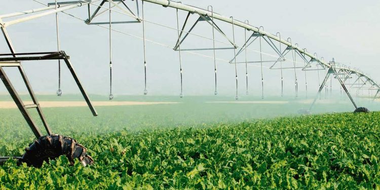 Productores agrícolas de Dolores proyectan un embalse para regar 15 mil hectáreas