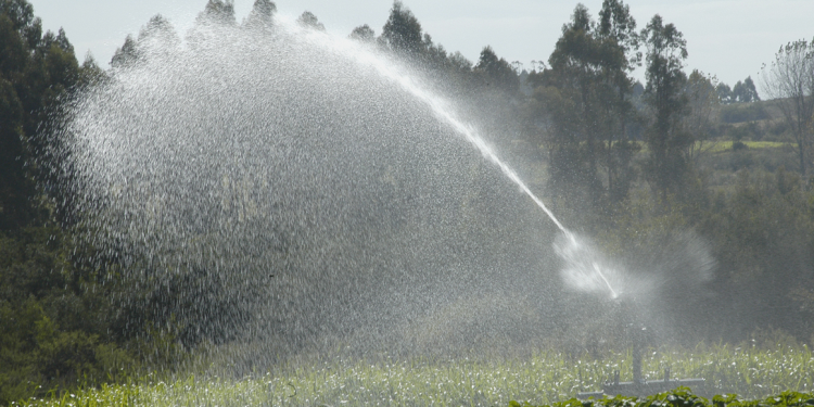 Que nos lleven el agua sin que nos demos cuenta