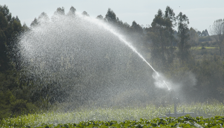 Que nos lleven el agua sin que nos demos cuenta
