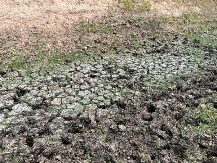 ¿Sequia o falta de políticas agrícolas?