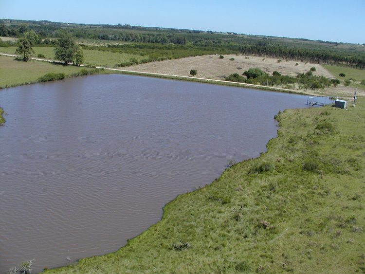 Combatir la sequía: Una política de Estado