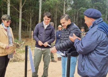 Ing. Bonino: “El tren seguramente necesitará tener varios clientes y no solo el sector forestal”