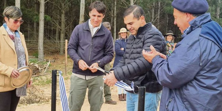 Ing. Bonino: “El tren seguramente necesitará tener varios clientes y no solo el sector forestal”