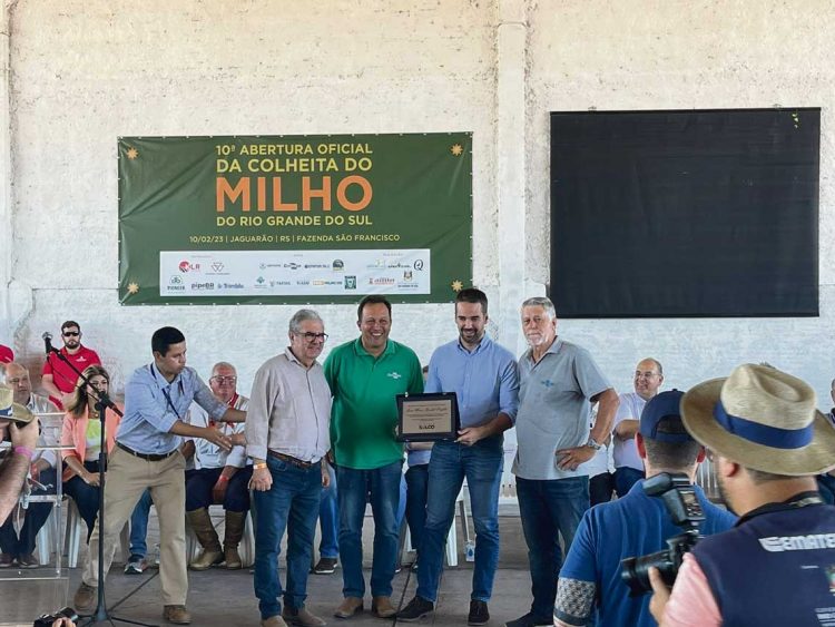 En tierras bajas al sur de Brasil, el área de soja va en camino a superar al arroz