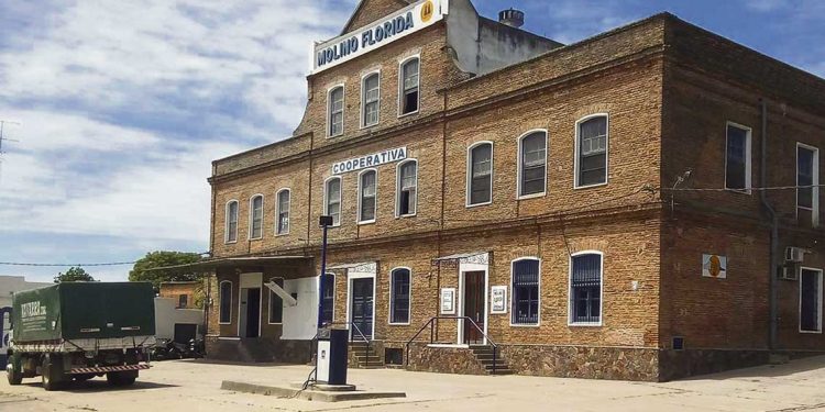 Molinos denuncian importación de productos elaborados de la región que impacta en el mercado local