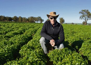 Uruguayo lidera en Australia estudios para enfrentar déficit hídrico