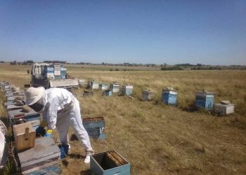 En la granja “ya no solo hablamos de pérdida de rendimiento, también de cultivos”