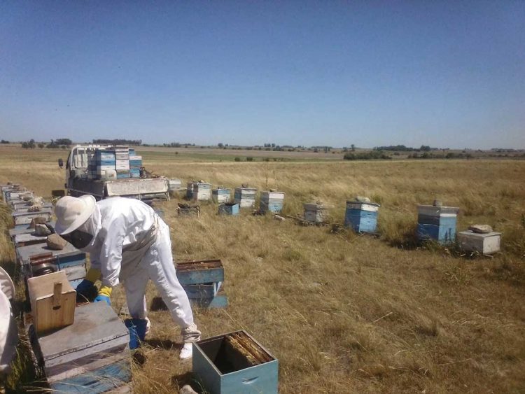En la granja “ya no solo hablamos de pérdida de rendimiento, también de cultivos”