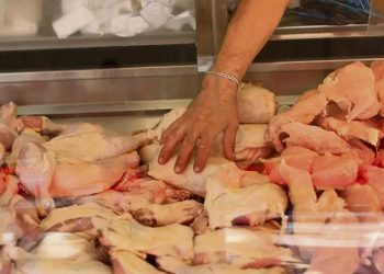 “La población no se benefició con la importación de pollo”