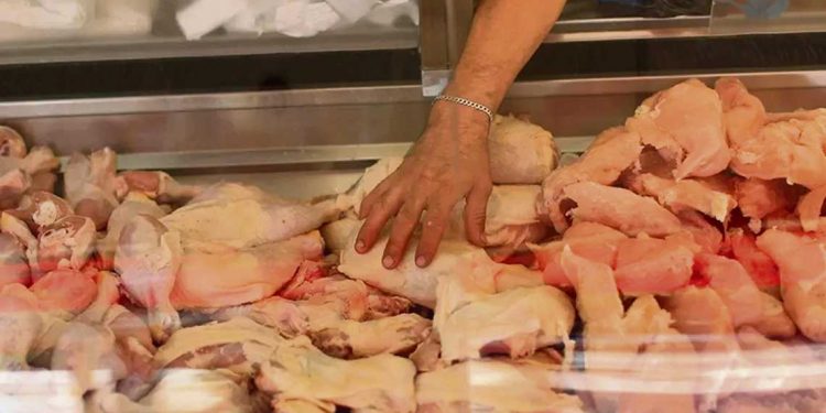 “La población no se benefició con la importación de pollo”