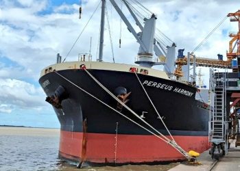 En enero las exportaciones de Uruguay fueron por US$ 852 millones