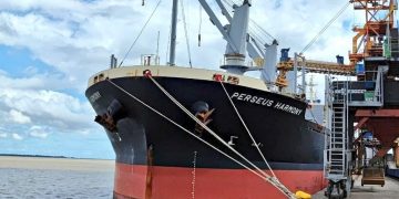 En enero las exportaciones de Uruguay fueron por US$ 852 millones