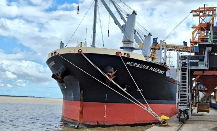 En enero las exportaciones de Uruguay fueron por US$ 852 millones