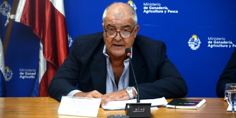 Por gripe aviar Uruguay restringe movimiento, suspende ferias, exposiciones y todo tipo de eventos con aves