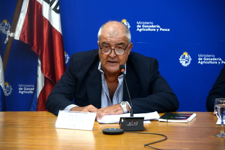 Por gripe aviar Uruguay restringe movimiento, suspende ferias, exposiciones y todo tipo de eventos con aves