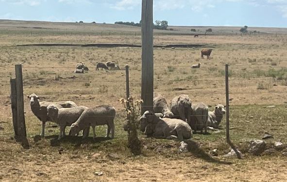 El Estado reacciona con medidas antes la situación de déficit hídrico