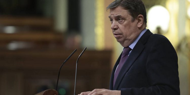 En 2022 España otorgó a la ganadería 320 millones para enfrentar costos por la guerra en Ucrania