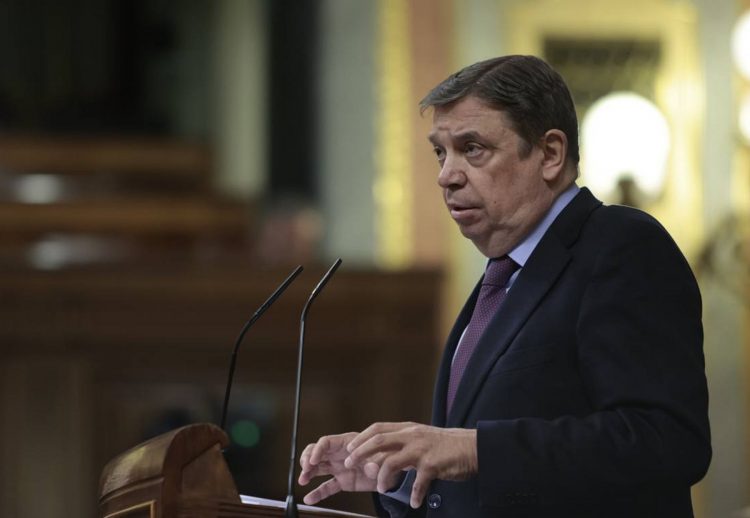 En 2022 España otorgó a la ganadería 320 millones para enfrentar costos por la guerra en Ucrania