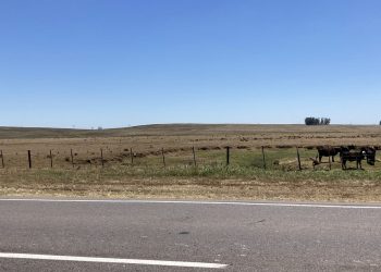 Estamos en la peor seca del siglo; el déficit forrajero se extenderá hasta la primavera