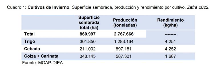 Encuesta DIEA: El trigo rindió 4.251 kilos por hectárea logrando un máximo histórico.