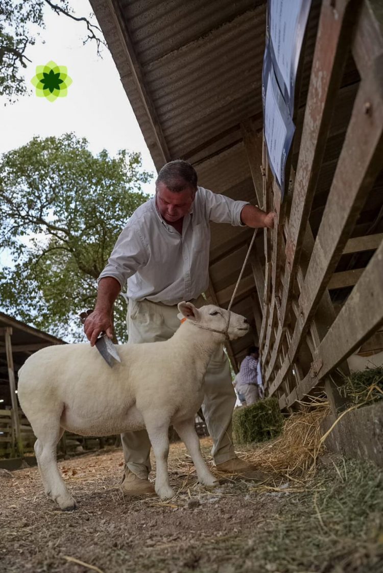 Con total éxito se desarrolló la 109ª Expo Durazno