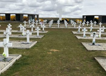 Malvinas frente a los cultores de la cizaña