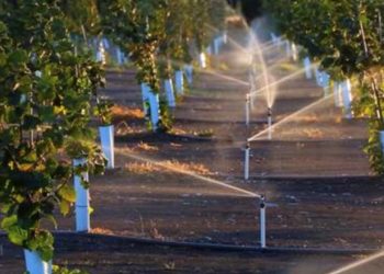 Democratizar la COMAP: ¿La mejor política de riego?