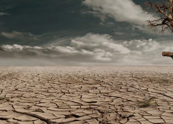 La gran sequía