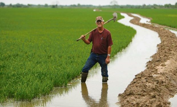 Una oportunidad para la energía y el riego