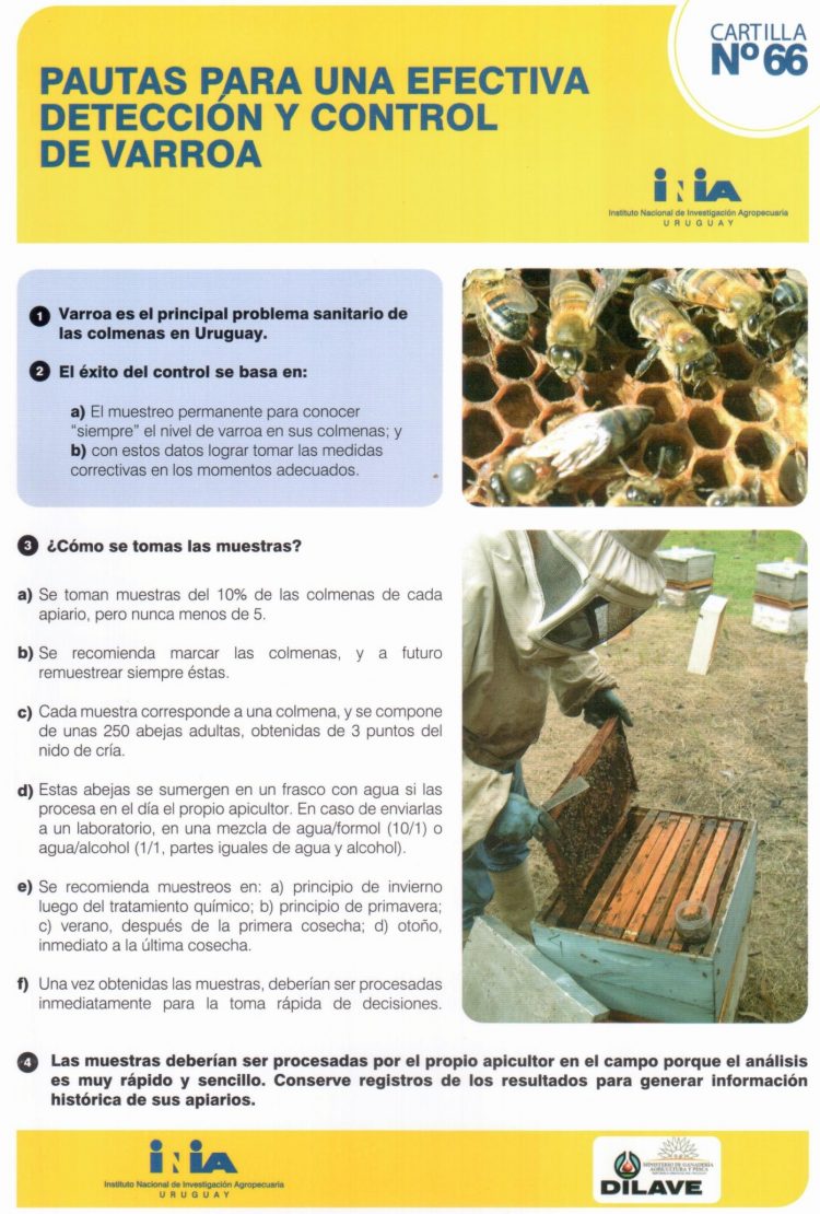 Comisión Apícola detectó casos de varroa