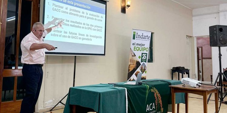 Hay “datos muy auspiciosos” en las investigaciones para uso de arroz con cáscara como alimento animal