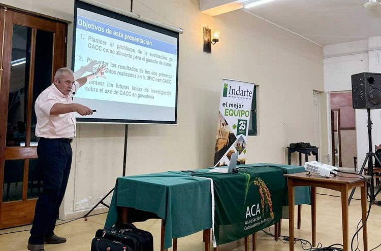 Hay “datos muy auspiciosos” en las investigaciones para uso de arroz con cáscara como alimento animal