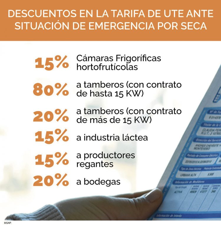 Se aprobaron descuentos en las tarifas de UTE para diferentes actores agropecuarios