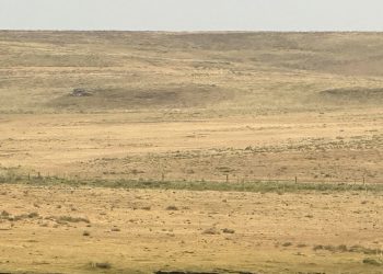 La Rural de Tacuarembó reclama medidas efectivas para hacer frente a la sequia